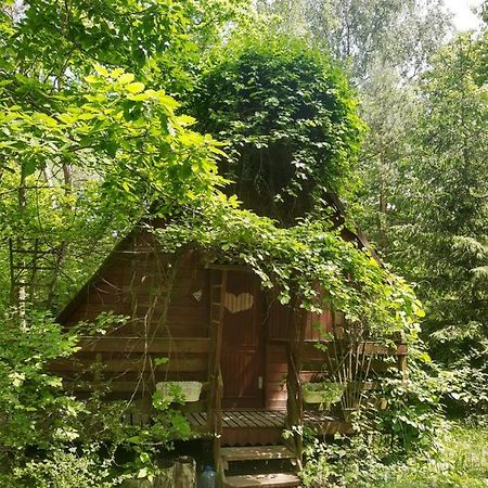 Willa Domek w lesie Aleksandrow  Zewnętrze zdjęcie