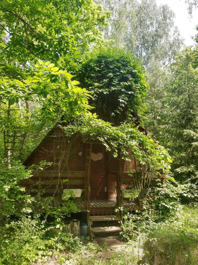 Willa Domek w lesie Aleksandrow  Zewnętrze zdjęcie